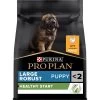 PURINA PRO PLAN Large Robust Puppy Healthy Start Pour Chiot 1 PURINA PRO PLAN Large Robust Puppy Healthy Start Pour Chiot -Pet Care Soldes 07613035114647 h1n1 01 fr 44142651 5