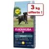 Croquettes Eukanuba Pour Chien : 15 Kg + 3 Kg Offerts ! 2 Croquettes Eukanuba Pour Chien : 15 Kg + 3 Kg Offerts ! -Pet Care Soldes 1013517 eukanuba 15 3 5