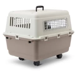Savic Cage De Transport Sur Roulettes Feria Pour Chien -Pet Care Soldes 105470 savic transportbox feria mit rollen gr4 hs02 0