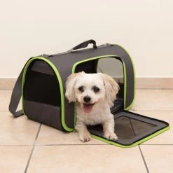 Sac De Transport Technicolor Pour Chien Et Chat -Pet Care Soldes 113399 tragetasche technicolor fg 1799 0