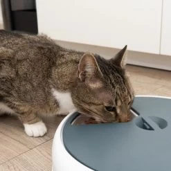 Distributeur Automatique De Nourriture Noma Pour Chat Et Petit Chien -Pet Care Soldes 116296 futterautomat noma fg 9445 3