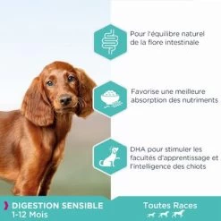 Eukanuba Puppy Sensitive Digestion Poulet, Dinde Pour Chiot -Pet Care Soldes 1370823 eukanuba dailycare puppysensitivedigestion productbenefits 4