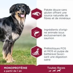 Eukanuba Adult Mono-Protein Au Saumon Pour Chien -Pet Care Soldes 1370827 eukanuba dailycare adultmonoproteinsaumon 1