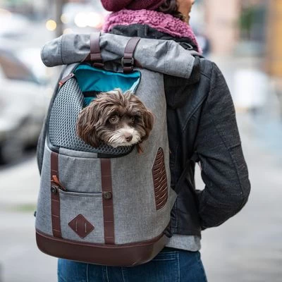 Sac à Dos KURGO K9 5 Sac à Dos KURGO K9 – Image 3