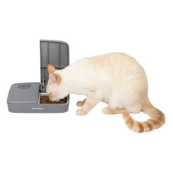 PetSafe® Distributeur Automatique De Nourriture 2 Repas Pour Chien Et Chat -Pet Care Soldes 145997 rasiosystems petsafe futterautomat 2mahlzeiten catdog 2x355xml hs 07 9