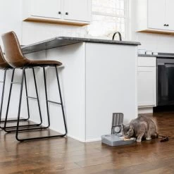 PetSafe® Distributeur Automatique De Nourriture 2 Repas Pour Chien Et Chat -Pet Care Soldes 145997 rasiosystems petsafe futterautomat 2mahlzeiten catdog 2x355xml hs 11 4