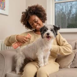 Spray Pet Head Quick Fix Pour Chien -Pet Care Soldes 159702 companyofanimals pethead quickfixspray 300ml hs 05 3