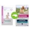 Eukanuba Adult Breed Specific Cocker Spaniel Pour Chien 1 Eukanuba Adult Breed Specific Cocker Spaniel Pour Chien -Pet Care Soldes 169998 tetragmbhiams eukanuba adult breedspecific cockerspaniel 7 5kg hs 03 7