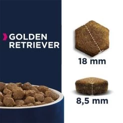 Eukanuba Adult Breed Specific Golden Retriever Pour Chien -Pet Care Soldes 170005 tetragmbhiams eukanuba adult breedspecific goldenretriever 12kg hs 05 8