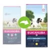 Eukanuba Thriving Mature Medium Breed Poulet Pour Chien -Pet Care Soldes 170009 tetragmbhiams eukanuba thriving mature mediumbreed huhn 15kg hs 03 0