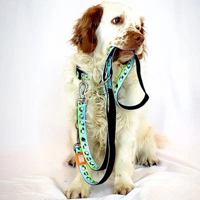 Laisse Multifonctions Max & Molly Black Sheep Pour Chien 4 Laisse Multifonctions Max & Molly Black Sheep Pour Chien – Image 2