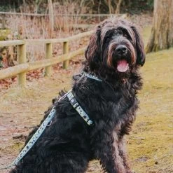 Laisse Multifonctions Max & Molly Black Sheep Pour Chien 13 Laisse Multifonctions Max & Molly Black Sheep Pour Chien -Pet Care Soldes 190402 190403 190404 maxnmolly multifunktionsleine blacksheep hs 03 7