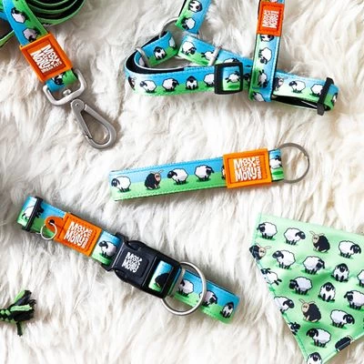 Laisse Multifonctions Max & Molly Black Sheep Pour Chien 6 Laisse Multifonctions Max & Molly Black Sheep Pour Chien – Image 4