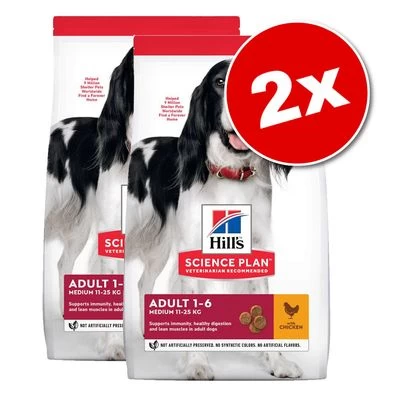 Lot De Croquettes Hill's Science Plan Pour Chien 3 Lot De Croquettes Hill's Science Plan Pour Chien