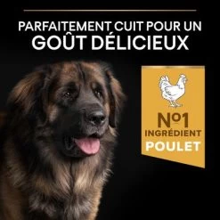 PURINA PRO PLAN Large Robust Adult Everyday Nutrition Pour Chien -Pet Care Soldes 1 b00y9ssx4y pt03 8