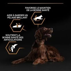 PURINA PRO PLAN Large Athletic Adult Everyday Nutrition Pour Chien -Pet Care Soldes 1 b00y9stl18 pt02 4