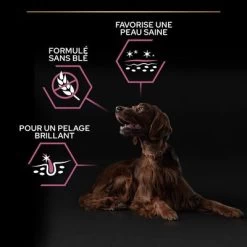 PURINA PRO PLAN Large Athletic Adult Sensitive Skin Saumon Pour Chien -Pet Care Soldes 1 b01h05h654 pt02 5