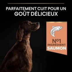 PURINA PRO PLAN Large Athletic Adult Sensitive Skin Saumon Pour Chien -Pet Care Soldes 1 b01h05h654 pt03 2