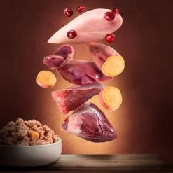 Purizon Adult 6 X 400 G - Sans Céréales Pour Chien -Pet Care Soldes 1 zop 21 117 purizon nassfutter marketingboards rind pute p6 9