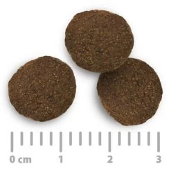 Lot Purizon 2 X 12 Kg Pour Chien -Pet Care Soldes 2020 08 purizon food size 1000x1000 int 9