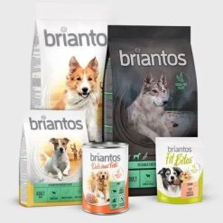 Briantos Adult Active Pour Chien 9 Briantos Adult Active Pour Chien -Pet Care Soldes 2023 09 briantos general grid 1000x1000 int 4