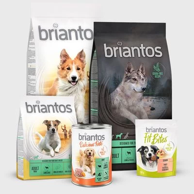 Briantos Adult Active Pour Chien 6 Briantos Adult Active Pour Chien – Image 4