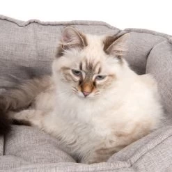 Panier Modern Living Batumi Pour Chat Et Petit Chien -Pet Care Soldes 203335 batumi und katze fg 9812 0