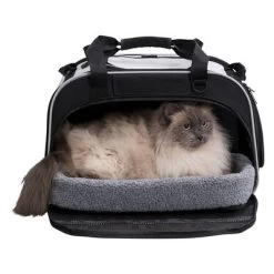Sac De Transport Trixie Valery Pour Chat 17 Sac De Transport Trixie Valery Pour Chat -Pet Care Soldes 203965 trixie wohn transporttasche valery hs 10 7