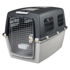Cage De Transport Trixie Gulliver Pour Chien Et Chat -Pet Care Soldes 21063 pla trixie transportboxgulliver7 7