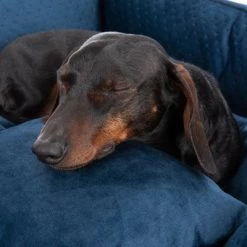 Panier Modern Living Lublin Avec Coussin Pour Chien -Pet Care Soldes 218997 hundebett lublin fg 8655 6