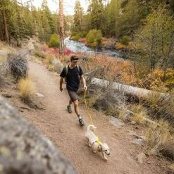 Laisse Ruffwear Hi & Light Pour Chien -Pet Care Soldes 262501 accapi ruffwear hi light leash lichengreen hs 12 0