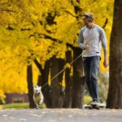 Laisse Ruffwear Hi & Light Pour Chien -Pet Care Soldes 262501 accapi ruffwear hi light leash lichengreen hs 13 5