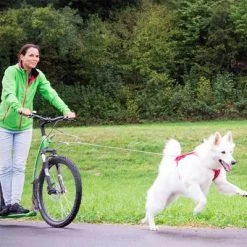 Laisse De Poche Curli Ultra-résistante Pour Chien -Pet Care Soldes 267896 267897 ultrastarke taschenleine hs 07 2