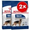 Lot De Croquettes Royal Canin Size Grand Format X 2 1 Lot De Croquettes Royal Canin Size Grand Format X 2 -Pet Care Soldes 278046 rcsize loteco 1