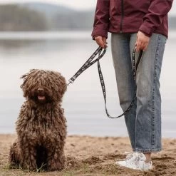 Laisse Réglable Hurtta Bare, Gris Foncé Pour Chien 7 Laisse Réglable Hurtta Bare, Gris Foncé Pour Chien -Pet Care Soldes 288348 hurtta bare verstellbare fuehrleine coal hs 02 1