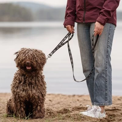 Laisse Réglable Hurtta Bare, Gris Foncé Pour Chien 5 Laisse Réglable Hurtta Bare, Gris Foncé Pour Chien – Image 3