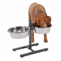 Porte-gamelles, écuelles Incluses 2 X 1,8 L / 2,8 L / 4,2 L 9 Porte-gamelles, écuelles Incluses 2 X 1,8 L / 2,8 L / 4,2 L -Pet Care Soldes 313523 kumar hundebar inklusive 2 edelstahln pfe 03 dsc5878 8