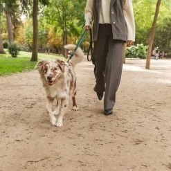 Laisse Nomad Tales Blush, émeraude Pour Chien -Pet Care Soldes 325696 324719 nomad tales blush hundeleine emerald hs 07 2