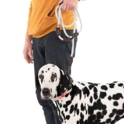 Laisse Nomad Tales Spirit, Gris Pierre Pour Chien -Pet Care Soldes 329296 329397 spirit l fg 7494 9