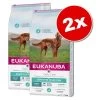 Lot Eukanuba Breed Et Daily Care, X 2 -Pet Care Soldes 332821 eukanuba dailycare 2x 8