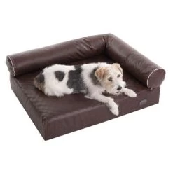 Canapé Pour Chien Wellness Divan Antique -Pet Care Soldes 333772 wellness hundesofa divan antik 09 06 2013 dsc0334 6