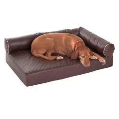 Canapé Pour Chien Wellness Divan Antique -Pet Care Soldes 333772 wellness hundesofa divan antik 11 06 2013 dsc0307 5