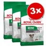 Lot De Croquettes Royal Canin Size X 3 -Pet Care Soldes 380521 rcsize mini loteco 1