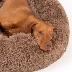 Panier TIAKI No Stress, Beige Pour Chien -Pet Care Soldes 381397 tiaki cuddle bed no stress fg 4649 3