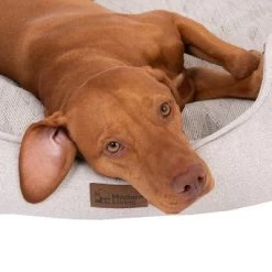 Panier Modern Living Phoenix Pour Chien -Pet Care Soldes 382707 dog bed phoenix fg 4697 6