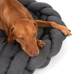 Panier Modern Living Durban Pour Chien -Pet Care Soldes 382718 dog bed durban fg 4751 9
