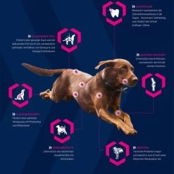 Eukanuba Adult Breed Specific Jack Russell Terrier Pour Chien -Pet Care Soldes 3 icons generell eukanuba hund 6