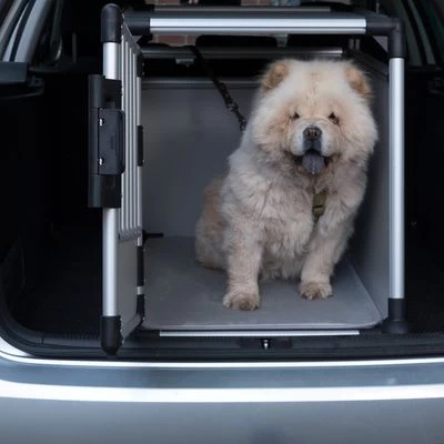 Trixie Cage De Transport En Aluminium Pour Chien, Gris Clair 15 Trixie Cage De Transport En Aluminium Pour Chien, Gris Clair – Image 13