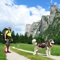 Laisse NEEWA Bungee Pour Chien -Pet Care Soldes 505646 hp neewa bungee leine im einsatz 9