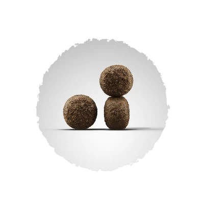 Josera High Energy Pour Chien 4 Josera High Energy Pour Chien – Image 2